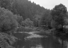 Pod Haluškovým mlýnem 70. léta 20. stol. - tato fotografie pochází ze sbírek Muzea Vysočiny Třebíč