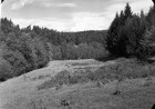 Nad mlýnem 70. léta 20. stol. - tato fotografie pochází ze sbírek Muzea Vysočiny Třebíč