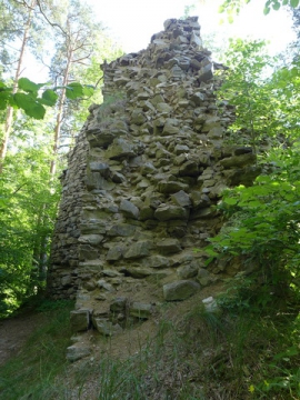 Zřícenina hradu Holoubek